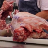 American Lamb - Section 1 - Image 2